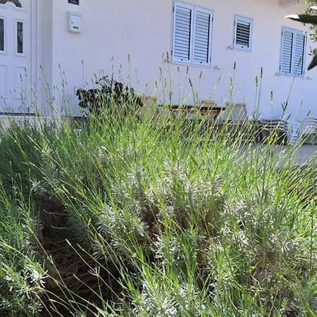 Katarina Апартаменты