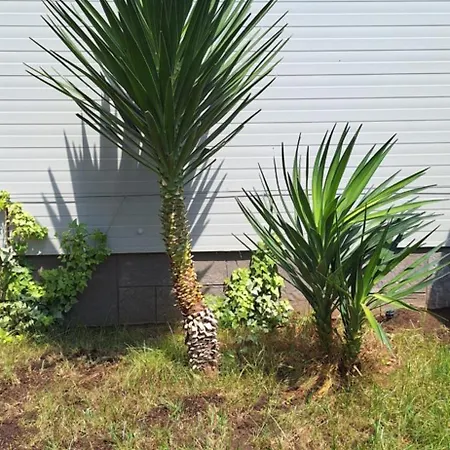 Katarina Апартаменти Трогір