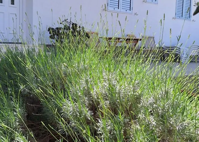 Katarina Appartement