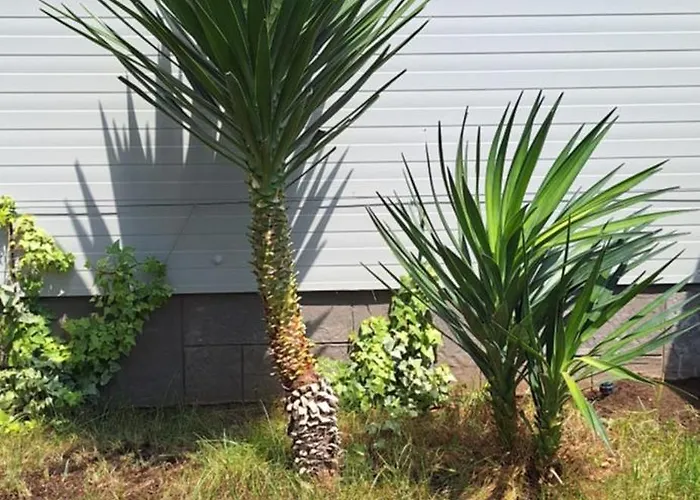 Katarina 아파트 트로기르